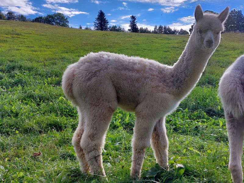 76_8adc72d4-dae1-4379-8379-bfcd0115020a