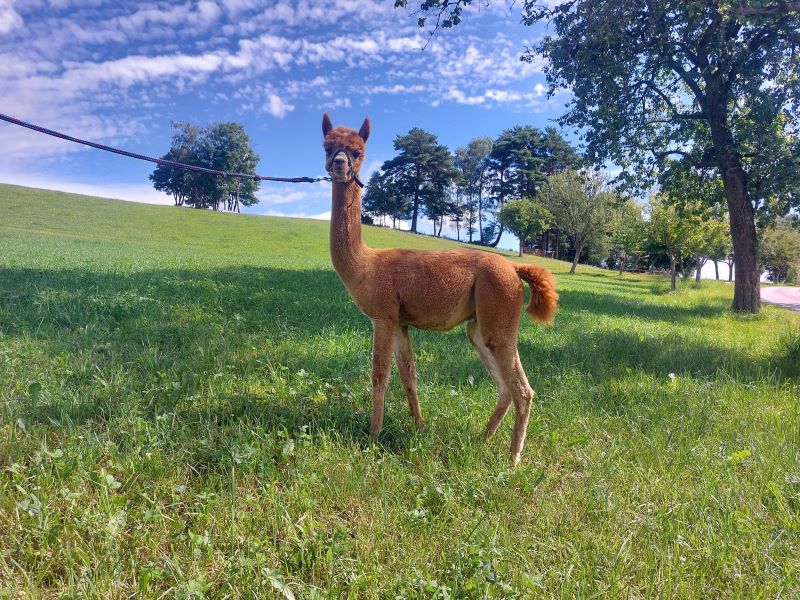 82_a2df6876-910d-4a4f-87db-bf9727b01ff0