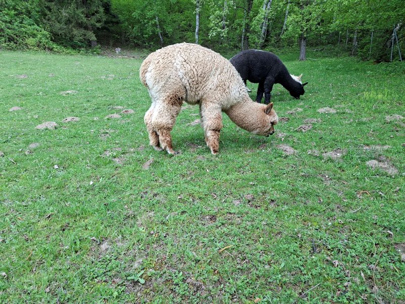 94_daea73e1-e572-44d6-b2d8-93a17c667c9c